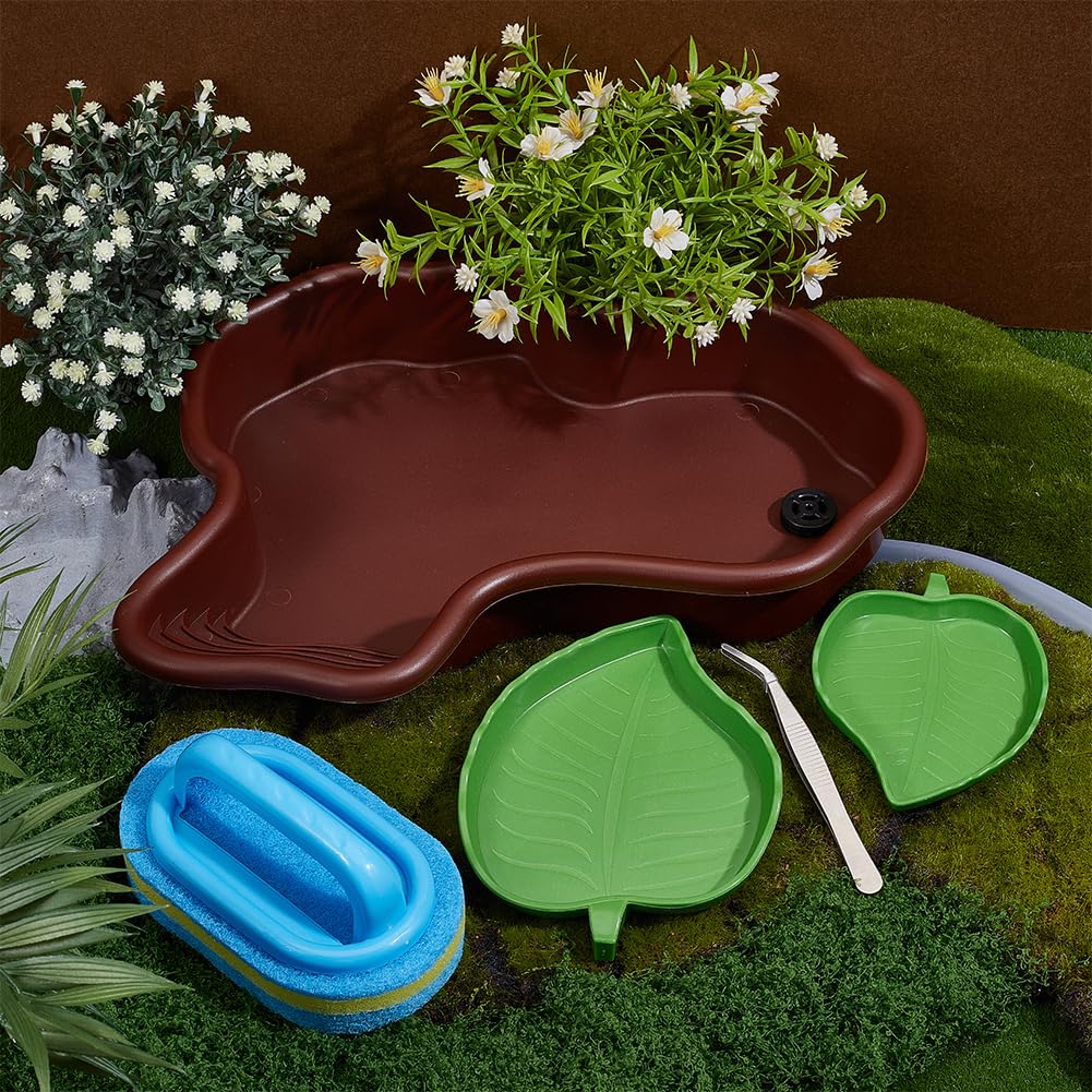 OLYCRAFT 5 piezas/set cuenco de agua para tortugas con comederos para reptiles y cepillo de limpieza antideslizante bañeras hábitat reptiles baño conjunto para tortugas ranas cordero lagartos