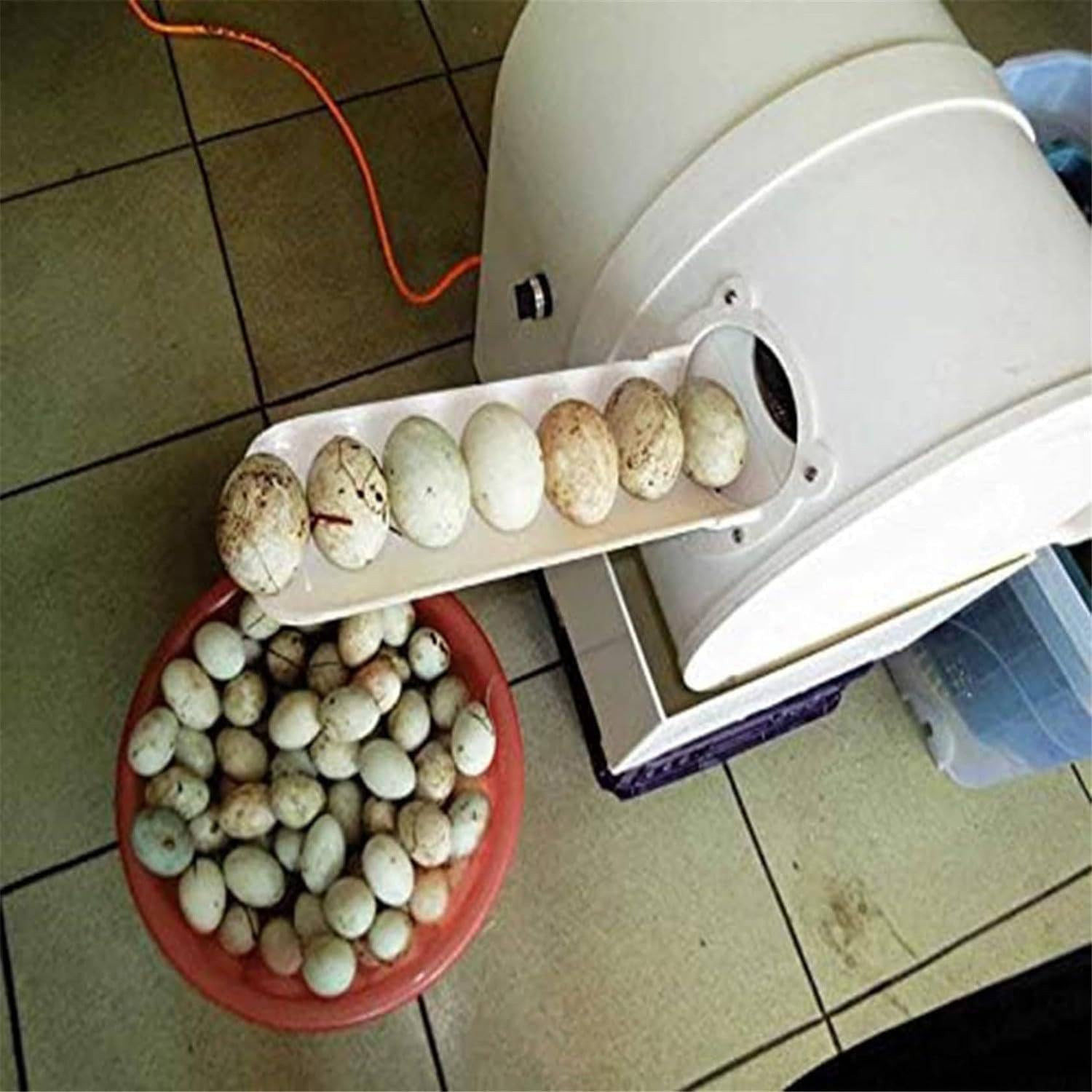 Lavadora de Huevos eléctrica, Lavadora de Huevos de gallina Pato Ganso, para criadores y Granjas