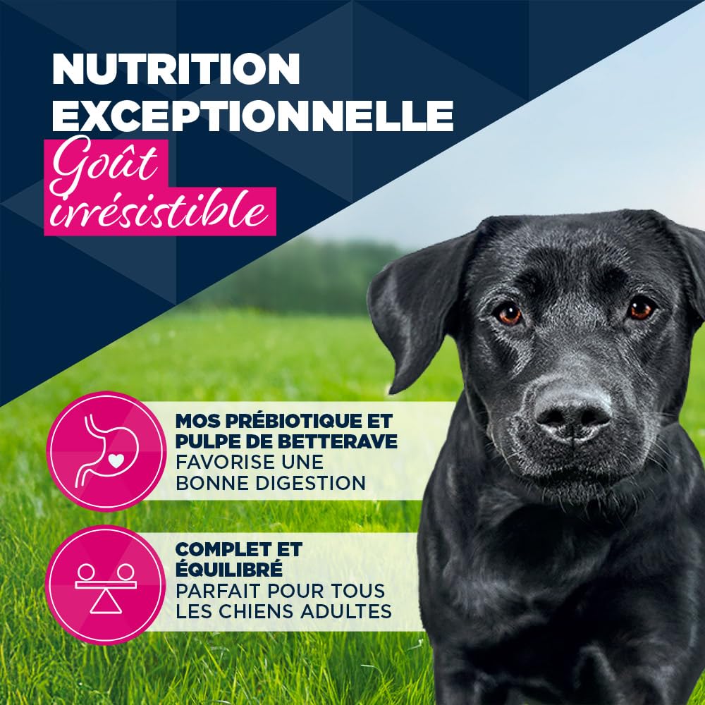 EUKANUBA Life Care Aliment Humide Chien Adulte 1 à 7 Ans Toutes Races, Pâtée Riche en Bœuf & Courges, Oméga-3, Calcium, Prébiotiques MOS, sans OGM Colorants Conservateurs, 6 boîtes de 400g