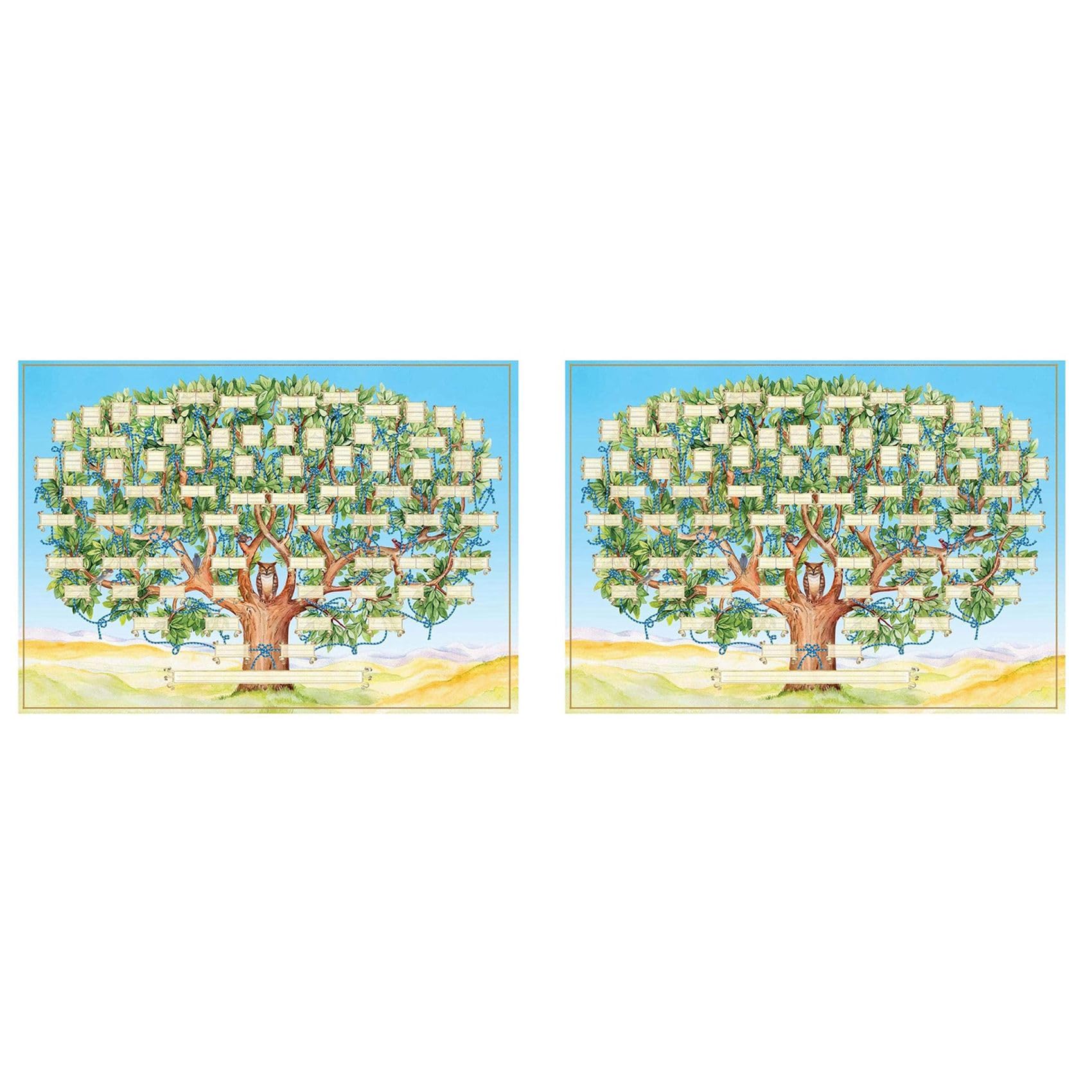 Hndhbfgrt 2X Family Tree Chart to Fill in 6 Generation Genealogy Poster Blank Fillable Ancestry Chart,Print Family Tree Picture A