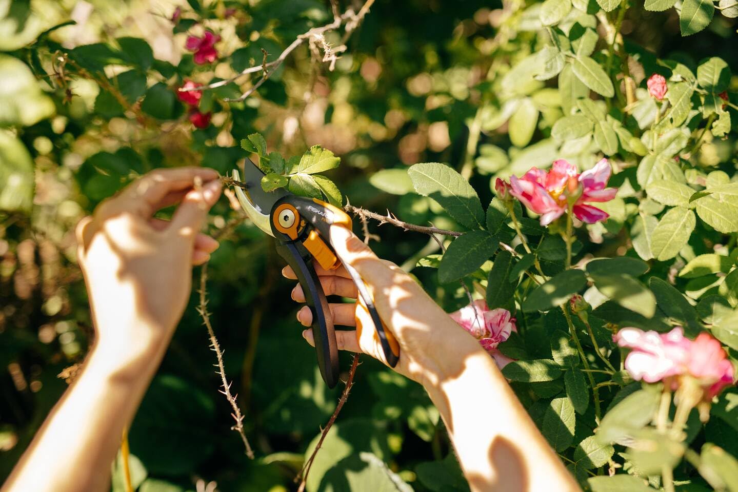 FISKARS Sécateur à Ouverture Variable Et Lame Franche - 20,8cm