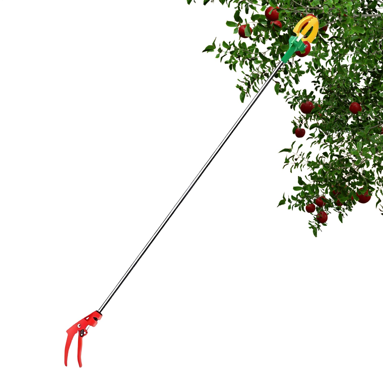 Di Frutta - 3 Metri Di Raccoglitori Di Frutta Per Alberi | Cherry Picker | Picker | Pickers Di Ciliegie Per Pere | La Raccolta Del Telescopico Può Essere Tirato Fuori | Abbigliamento Man