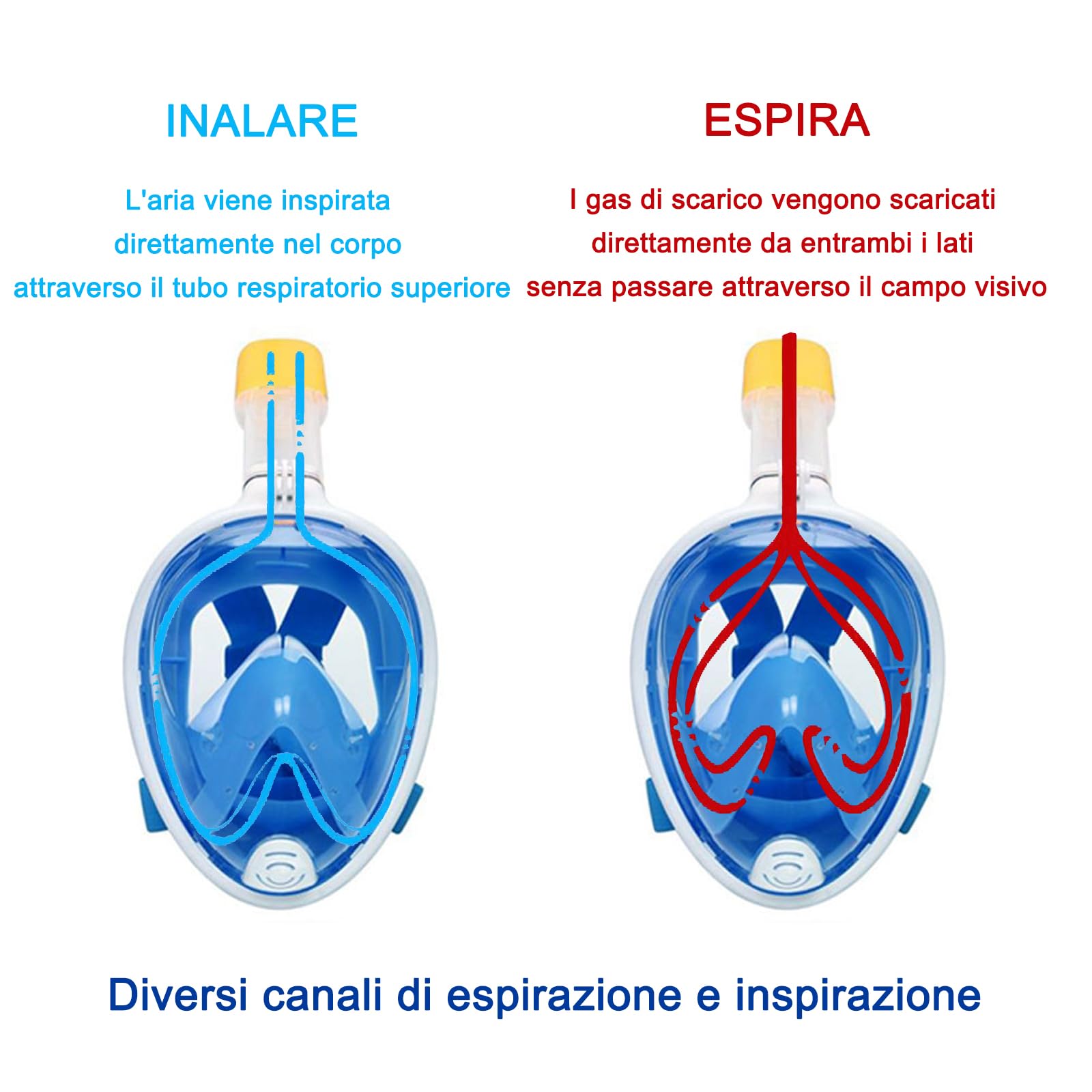 Vitare Maschera da Snorkeling per Adulti e Bambini, Maschera Subacquea Integrale Tecnologia Antiappannamento, Maschera da Mare con Supporto per Fotocamera, Maschera da Sub per Immersioni