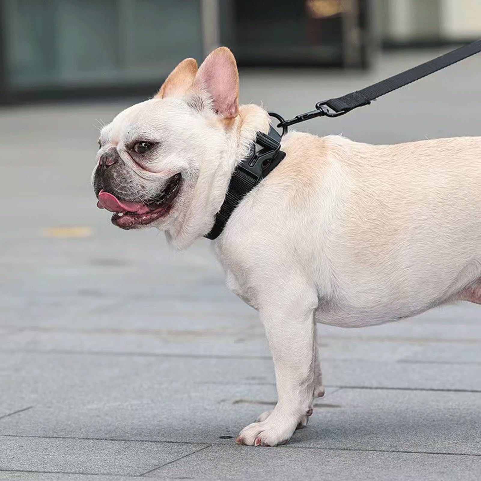 Arnés Antiescape para Perros - Chaleco Transpirable Y Ajustable con Asa, Equipado con Correa Y Collar, Adecuado para Perros Grandes(Orange,M)