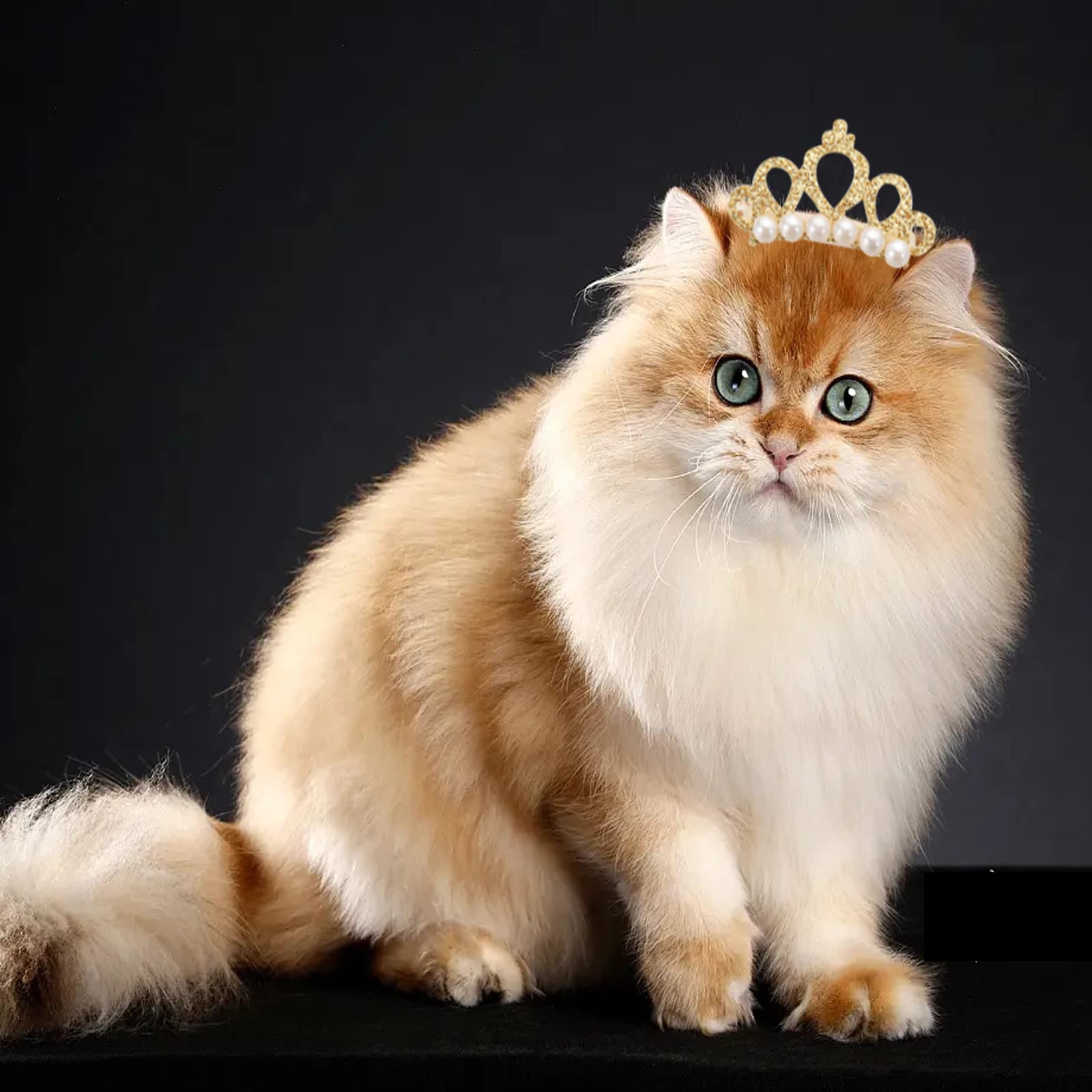 Amazon | ZHEJIA 犬用 ヘアクリップ 王冠【10個セット】ペット髪飾り