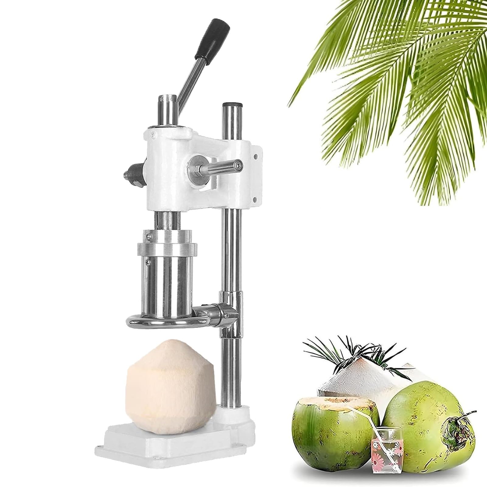 Outil d'ouverture de noix de coco en acier inoxydable avec base de moulage pour maison