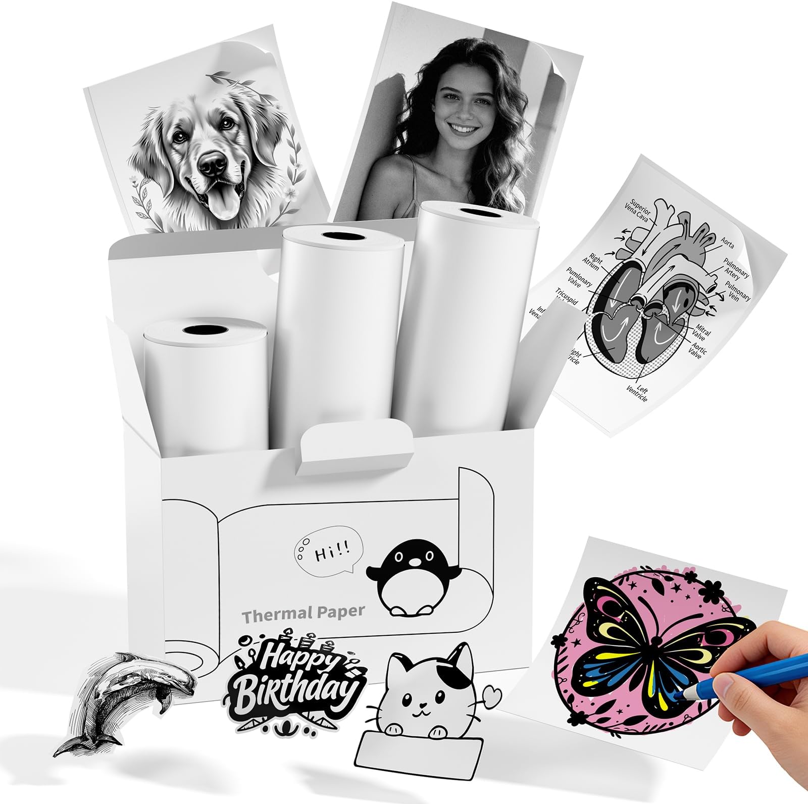 Memoking T02 Sticker Paper Compatible for T02/M02/Q02E/T02 Pro/D20/D21 Print Pods Mini Printer, Black on White Thermal Sticky Paper 50mmx3.5m for Journal Photo Texts Study Notes DIY Sticker, 3 Roll