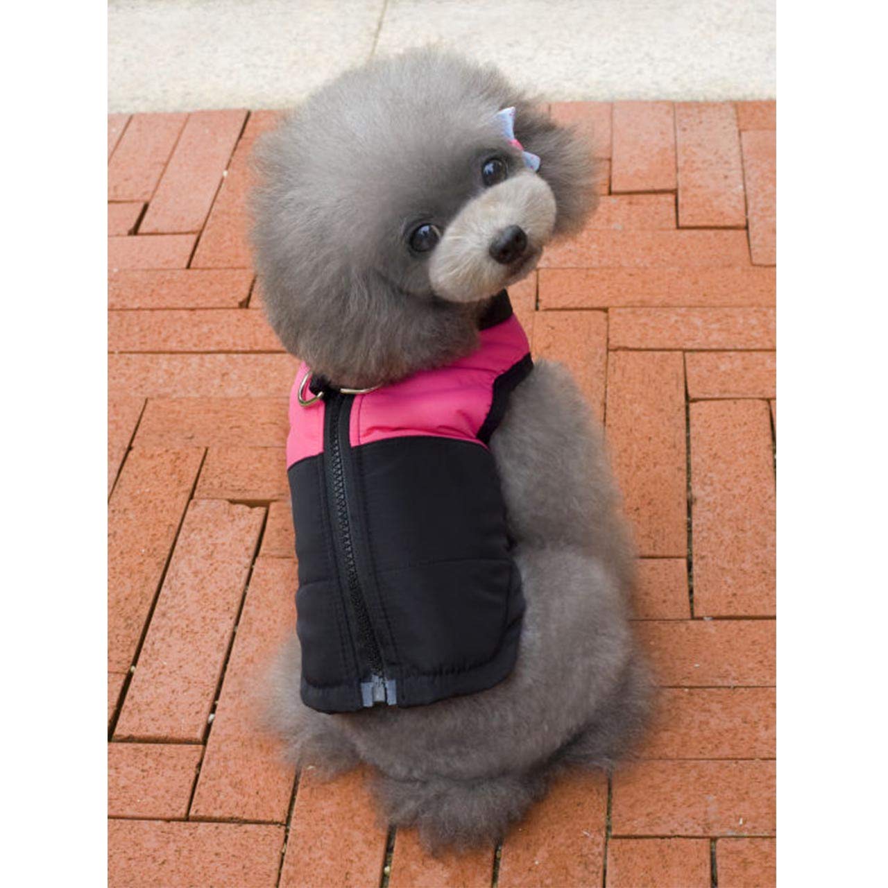 Giacca Imbottita Per Cani - Cappotto Invernale Impermeabile Con Guinzaglio Incorporato - Foto 3