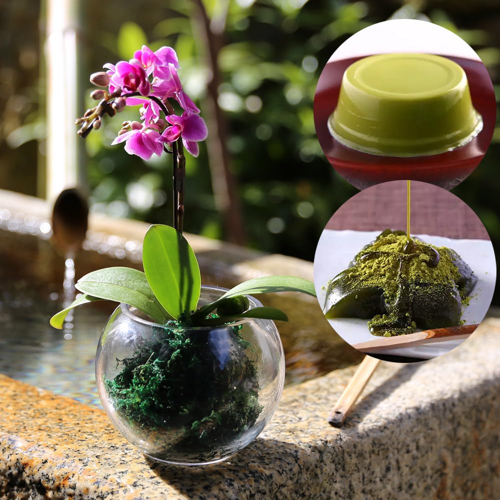 伊藤久右衛門 セット