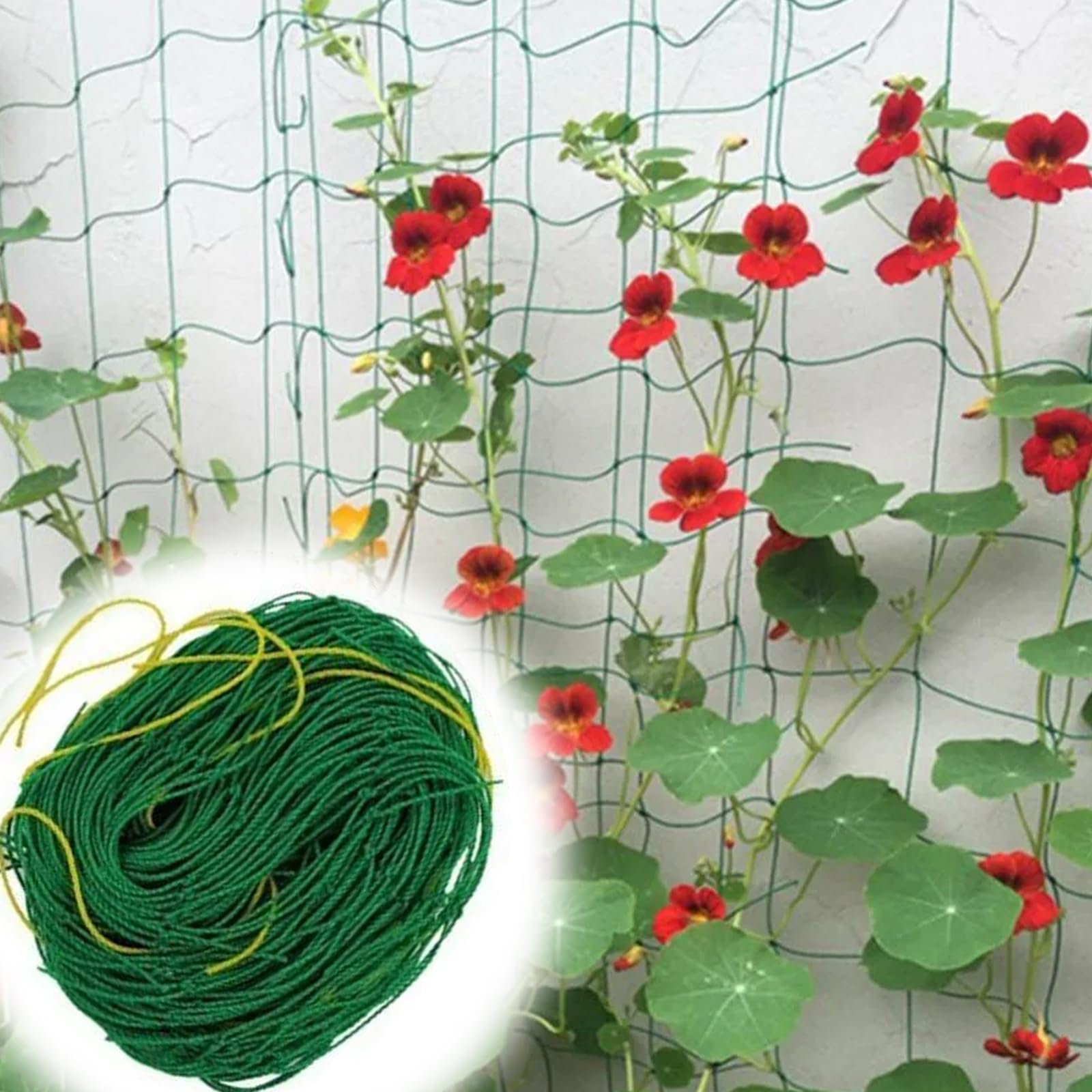 Filet pour Plantes grimpantes 1.8x3.6m, Grille pour Concombres Tomates Jardins Serres