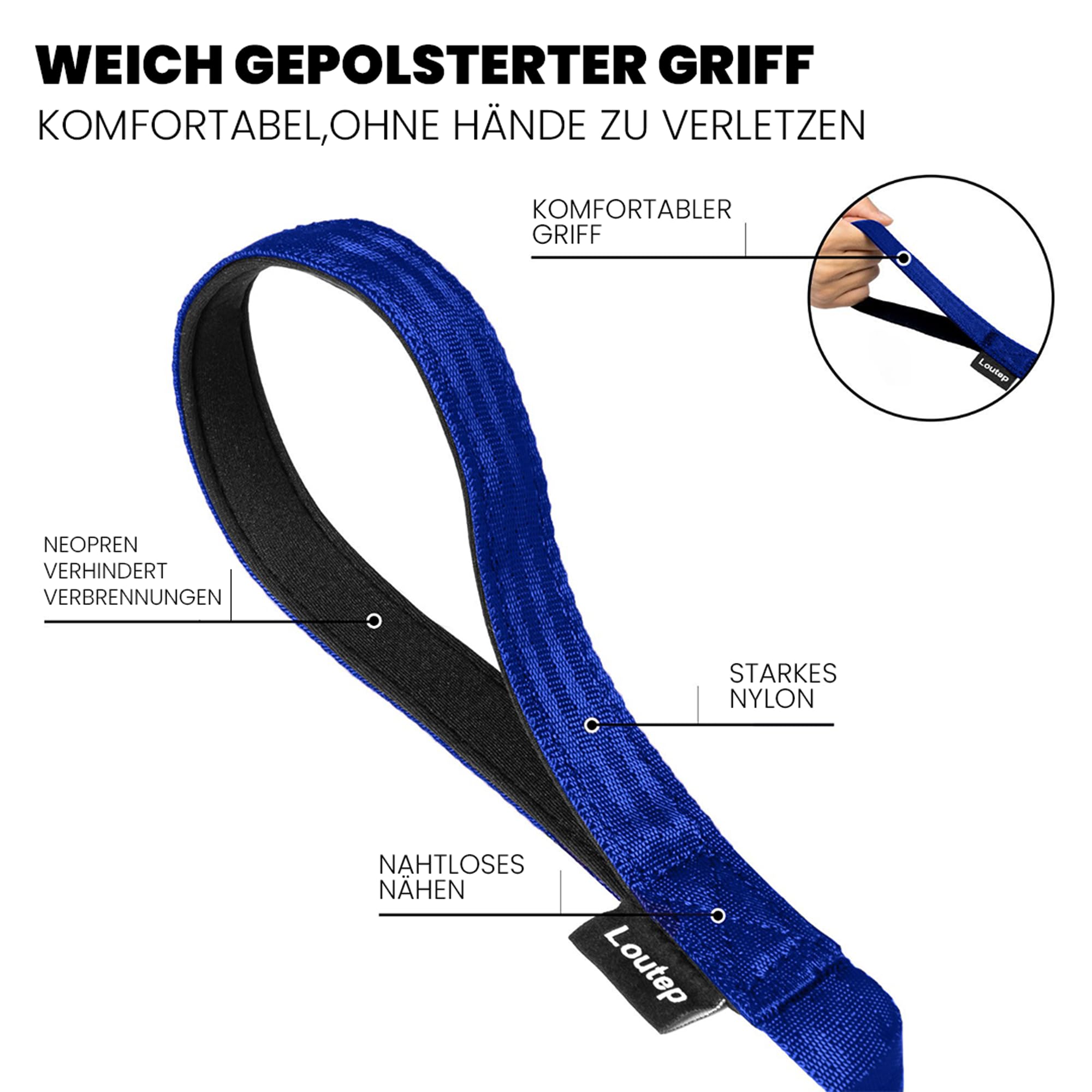 Laisse pour chiens de petite, moyenne et grande taille pour le ski de fond, imperméable, légère (bleu, 30 m)