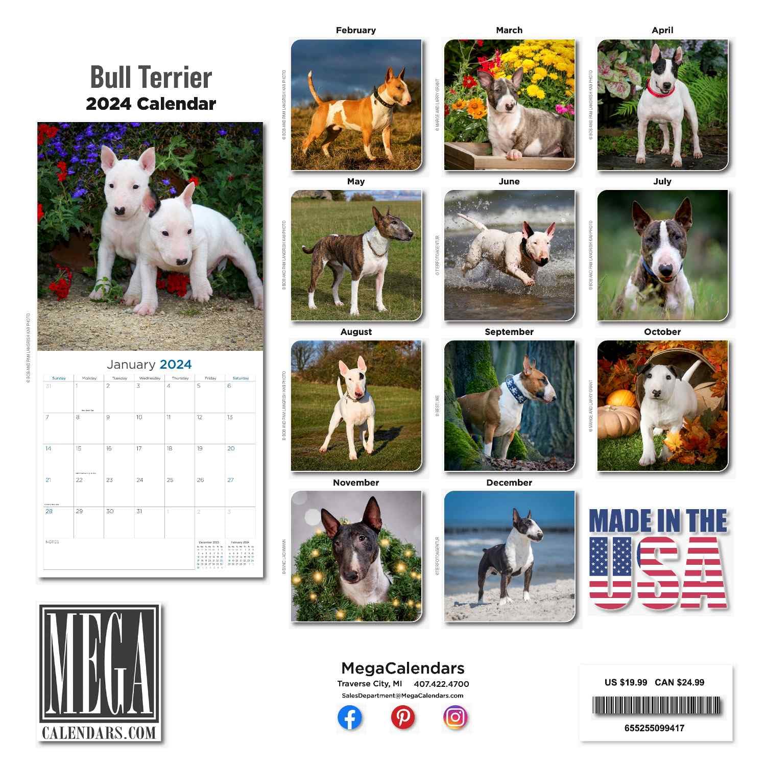 Bull Terrier Calendar 2024 Dog Breed Wall Calendar