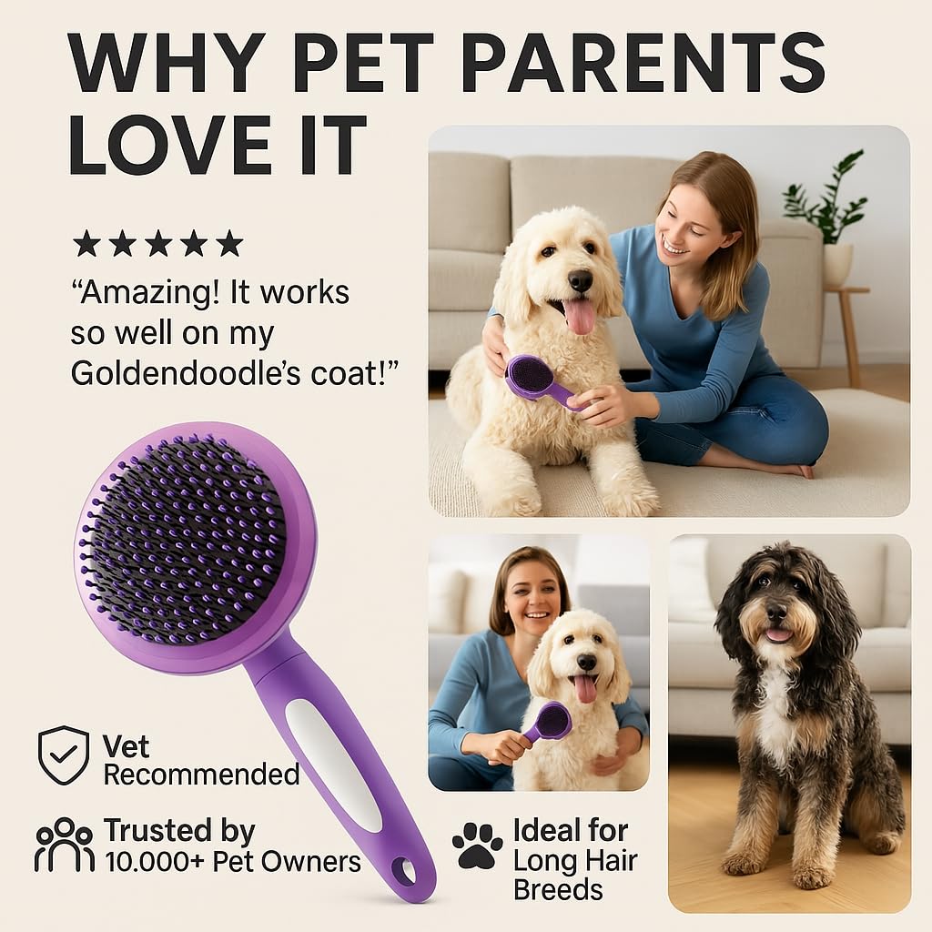 Round Bristle Pet Brush for Dogs and Cats - Soft Dog Brush for Grooming Short or Long Hair - Gentle Tool for Sensitive Skin Removes Dander, Dirt, and Detangles (Purple) - image 2