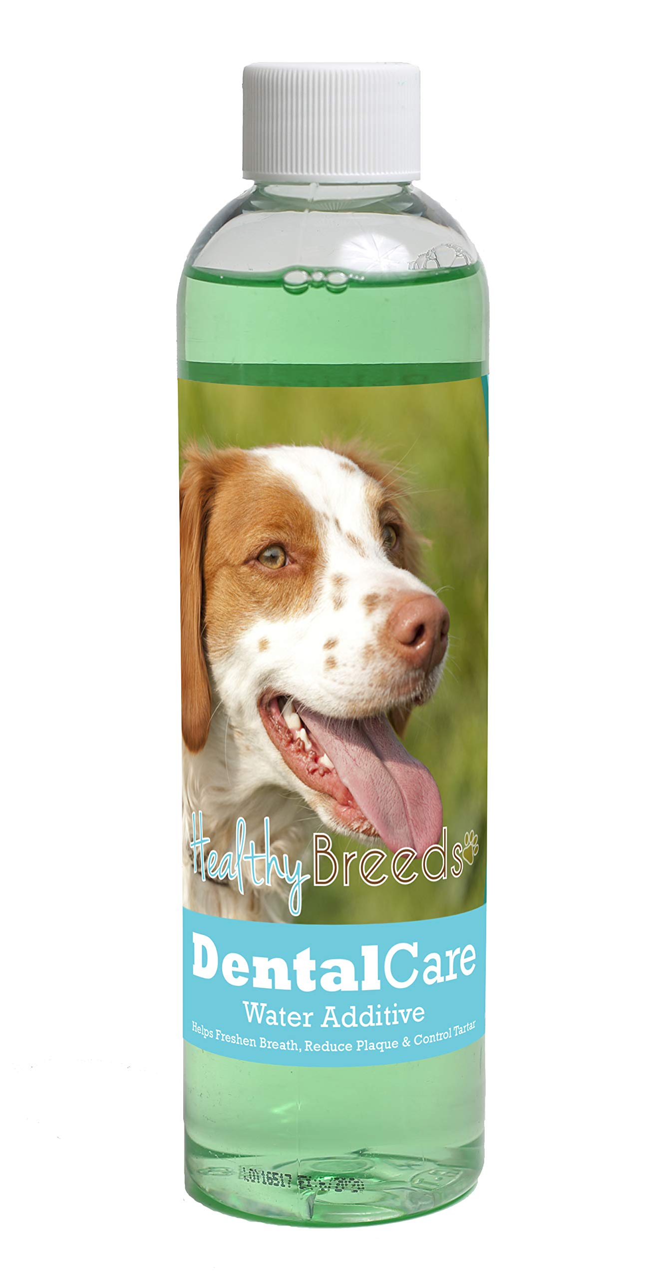 Healthy Breeds Dog Dental Care Water Additive for Brittany - Helps Freshen Breath, Reduce Plaque &amp; Control Tartar - Mint Flavor - 8 oz