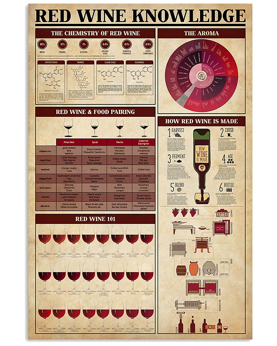 rayprint Red Wine Knowledge Metal Tin Signs Wine Infographics Reading Posters Guide For Wine Lovers Plaques Bars Home Kitchen Wall Decor 8x12 Inches
