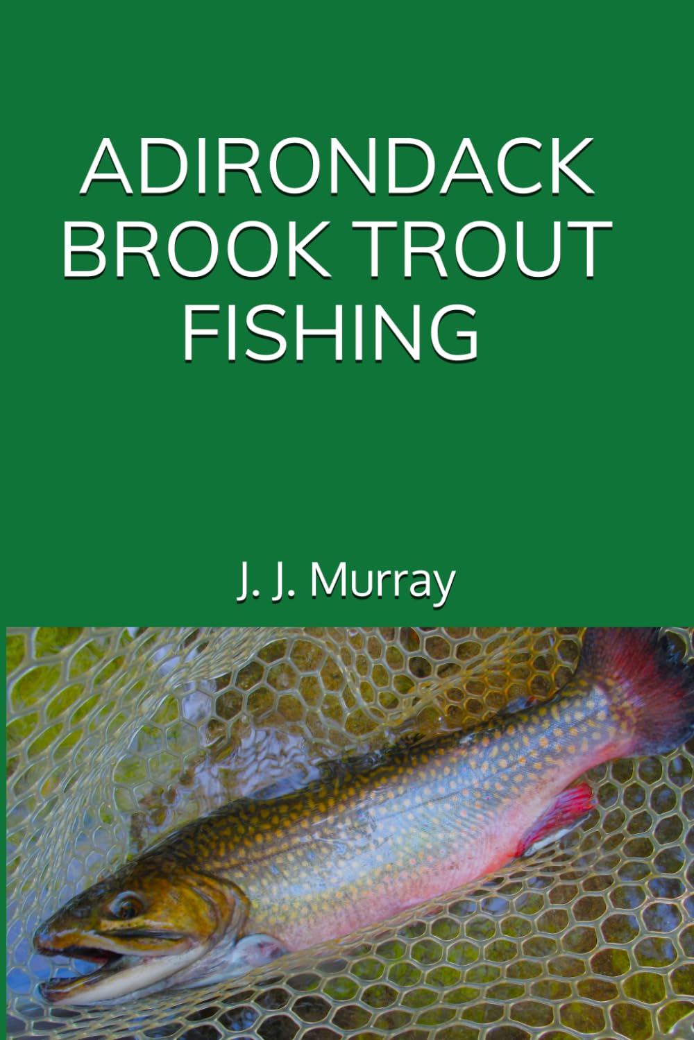Adirondack Brook Trout Fishing