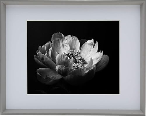 Miniatura 2 de Studio Nova Portarretratos para fotos de 8 x 10 pulgadas de 11 x 14 pulgadas sin paspartú, 11 x 14 pulgadas, mate de 8 x 10 pulgadas, color gris