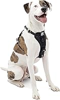 Kurgo Tru-Fit Enhanced Strength Dog Car Harness Medium Black - Crash-Tested, 5-Point Adjustable, Padded Chest Safety