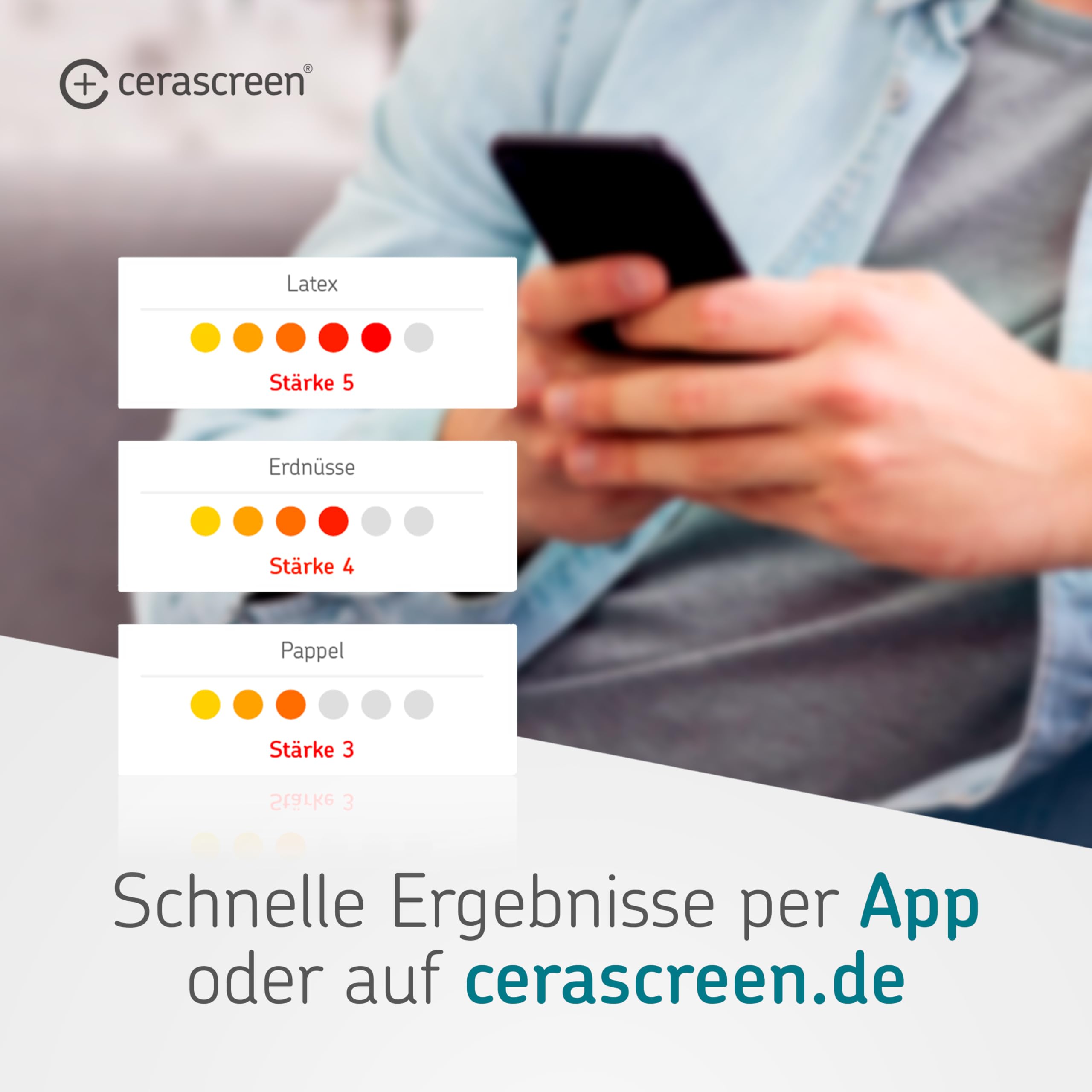 Großer Allergie Test von CERASCREEN - Umfangreiche Laboruntersuchung von 61 Allergenen wie Lebensmittel, Pollen und Katzen | Testkit für zu Hause | IgE-Antikörper | Detaillierter Ergebnisbericht