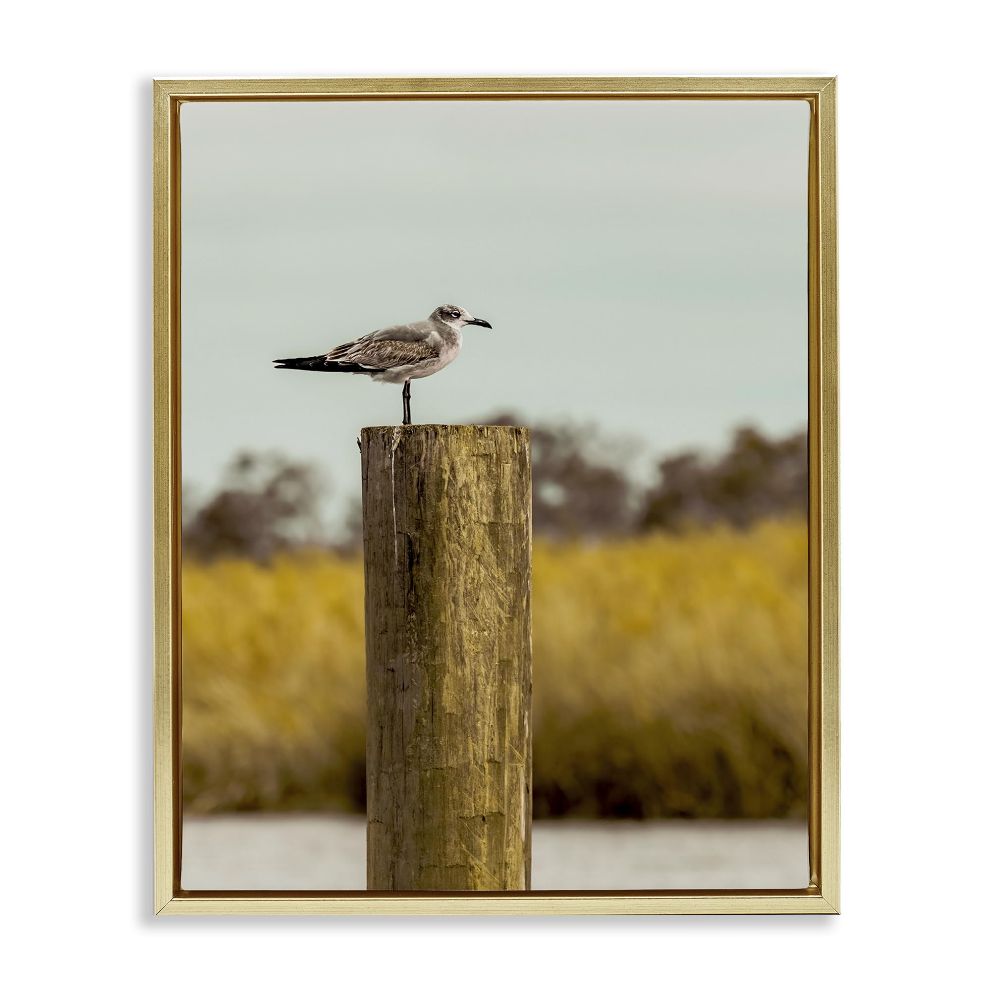 Stupell Industries 'Gull On Piling', Floating Frame Canvas Art, Gold, 25 x 31 Inches, Easy to Hang and Sturdy, Made in USA, by Christy Berry