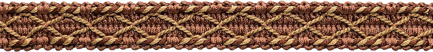 DÉCOPRO 3/4" (1.5cm) Fancy Gimp Braid Trim (Style# 0075ST) Blonde Brown Multicolor #PR03 (Chocolate Brown Golden Beige) 18 Yard Value Pack (54 ft/16.5m)
