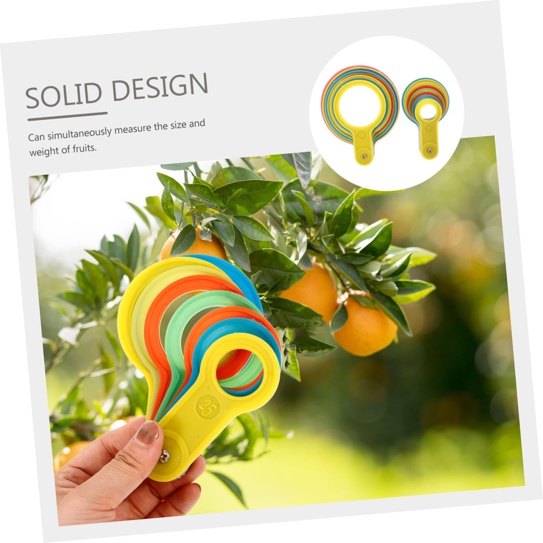 Hohopeti 10ensembles Outils De Mesure De Fruits De Cercles De Classification Pour Mesure Précise Des Poires Et Pratique Et Pour Classement