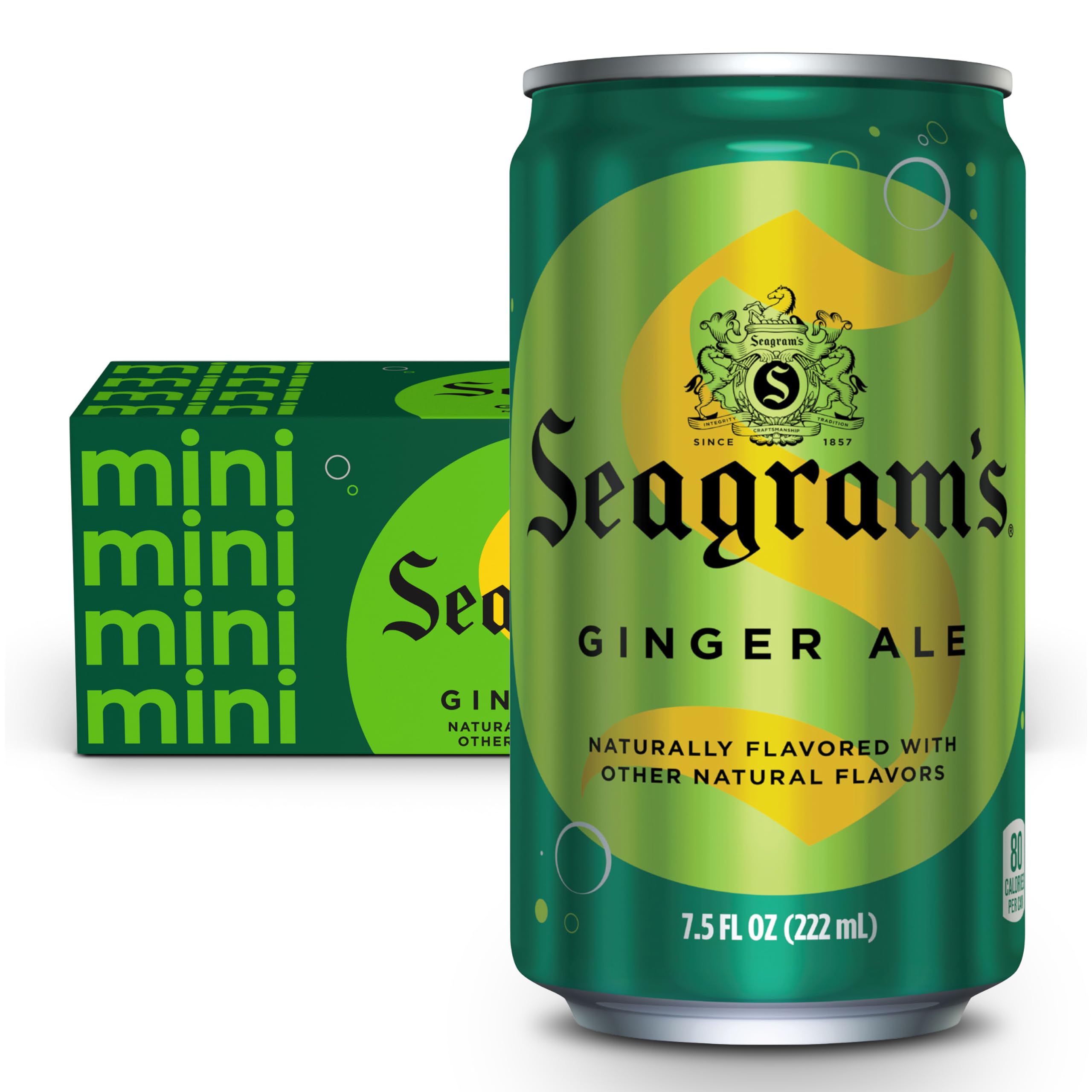 Seagrams Ginger Ale Soda Soft Drinks, 225 ml, 10 Pack