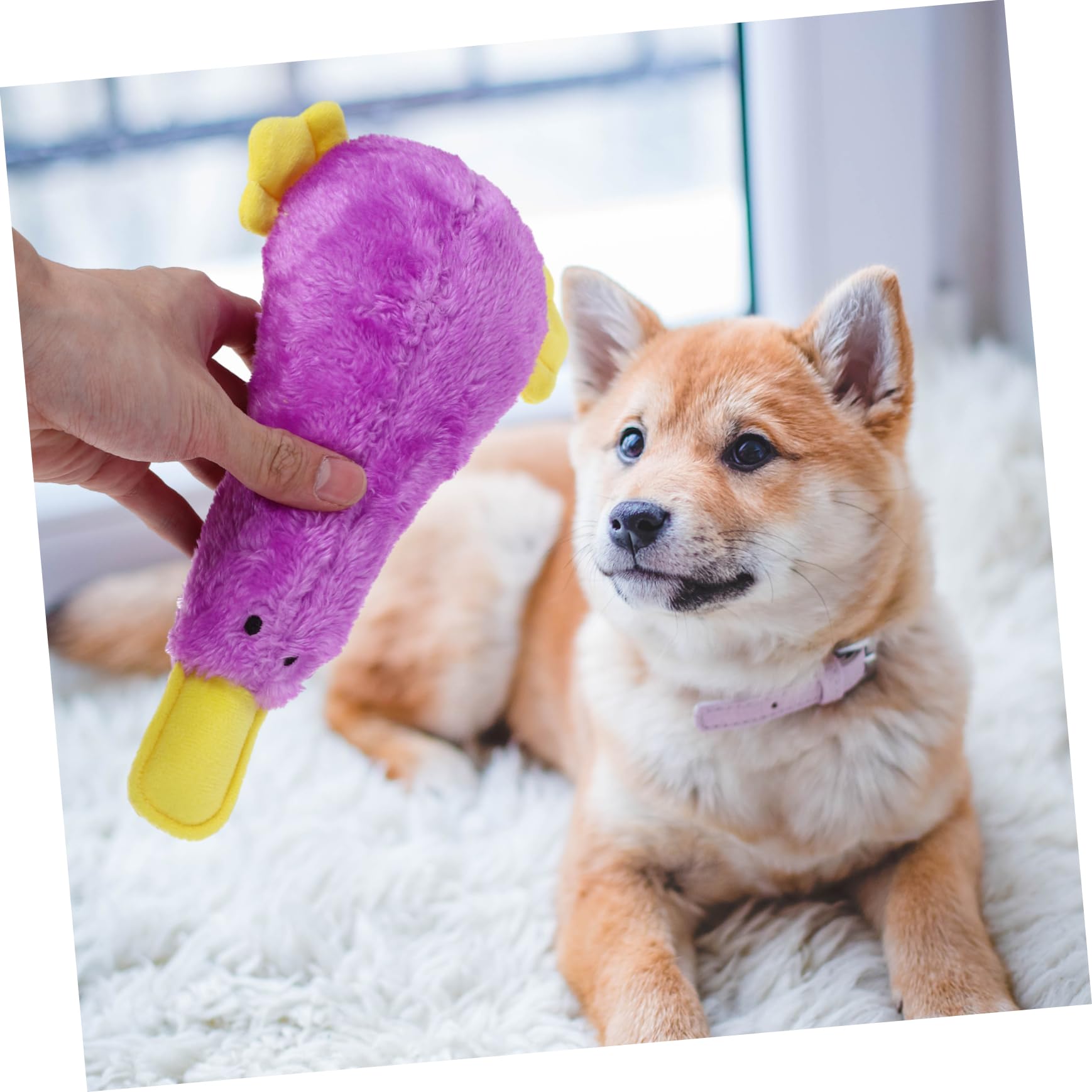HANABASS Jouet pour Chien Qui Couine Jouet à Mâcher pour Chiot Oiseau Motif Dessin Animé