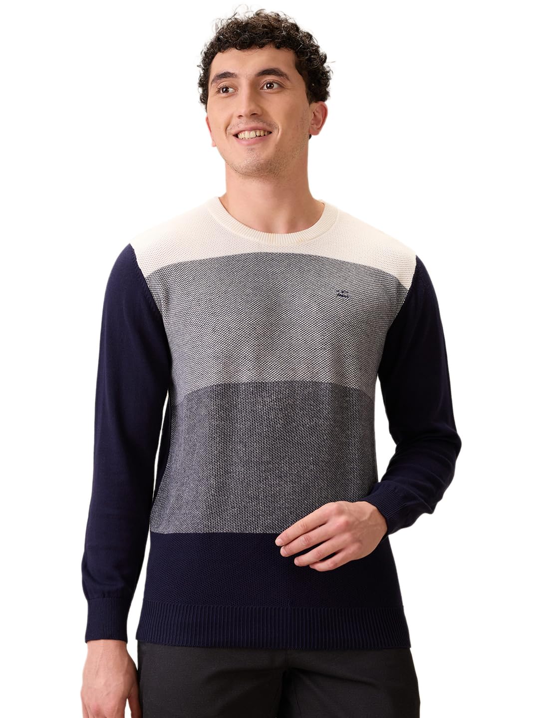 colorplus Men Full Sleeve Regular Fit Jacquard Pattern Pure Cotton Round Neck Round Neck Casual Winter Wear-picture-51
