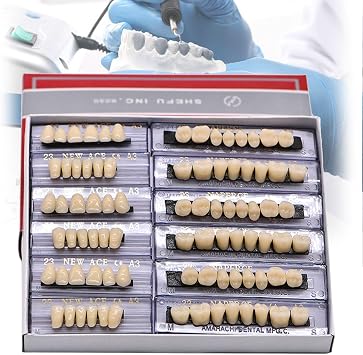 168 Pieces False Teeth Dental Complete Acrylic Resin Denture Teeth, Whole Teeth Synthetic Polymer Denture Tooth 23 Shade A3 Upper + Lower Dental Materials