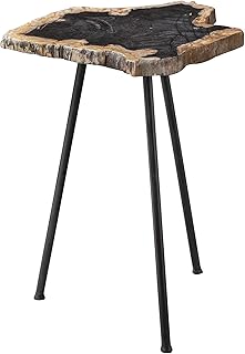Mircea Petrified Wood Accent Table
