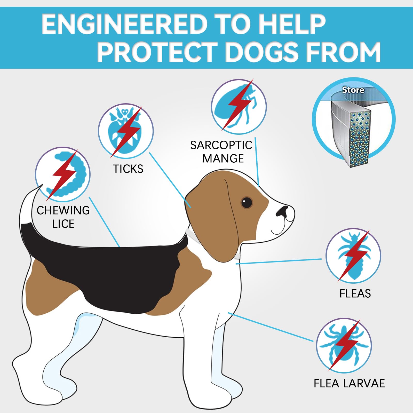 Collare Antipulci Cane, Naturali Collare Antipulci e Zecche per Cani, 12 Mesi di Protezione Impermeabile Collare Cane Antiparassitario, 63.5cm Regolabile Collare Antipulci (1pack)