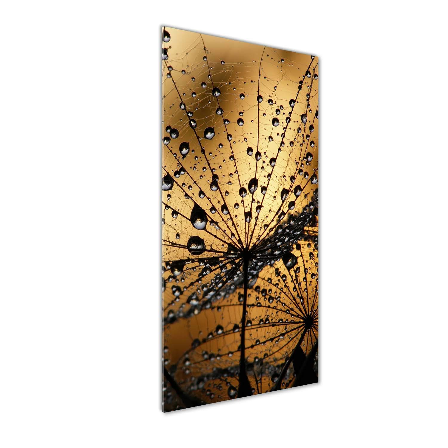 Impression sur verre acrylique 50x125 Tulup pour déco mural de salon