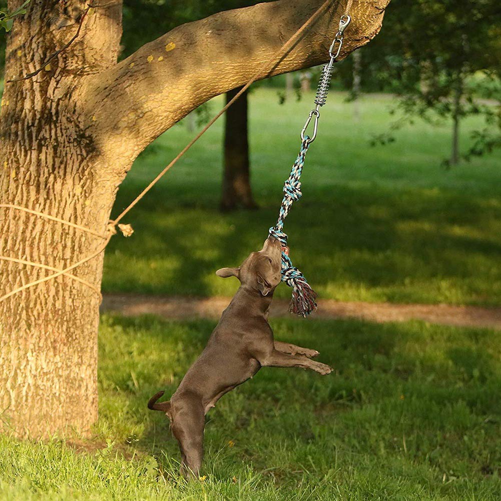 FLEXMAN Zabawka Dla Psów Typu Bungee, Sprężyna Ze Stali Nierdzewnej, Lina Bawełniana, Łatwa Instalacja, Wytrzymały Sprzęt do Ćwiczeń Dla Średnich I Dużych Psów