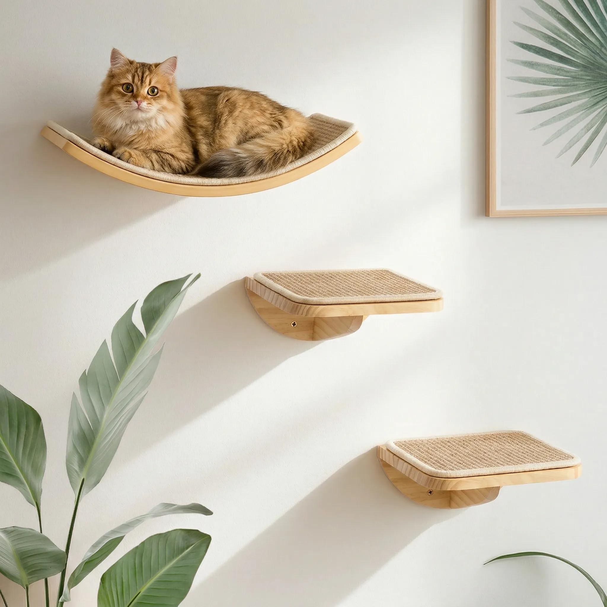 Lot de 3 escaliers muraux pour chat avec 2 marches d'escalade et plates-formes incurvées, en bois monté au mur, pour l'escalade, le jeu, le sommeil