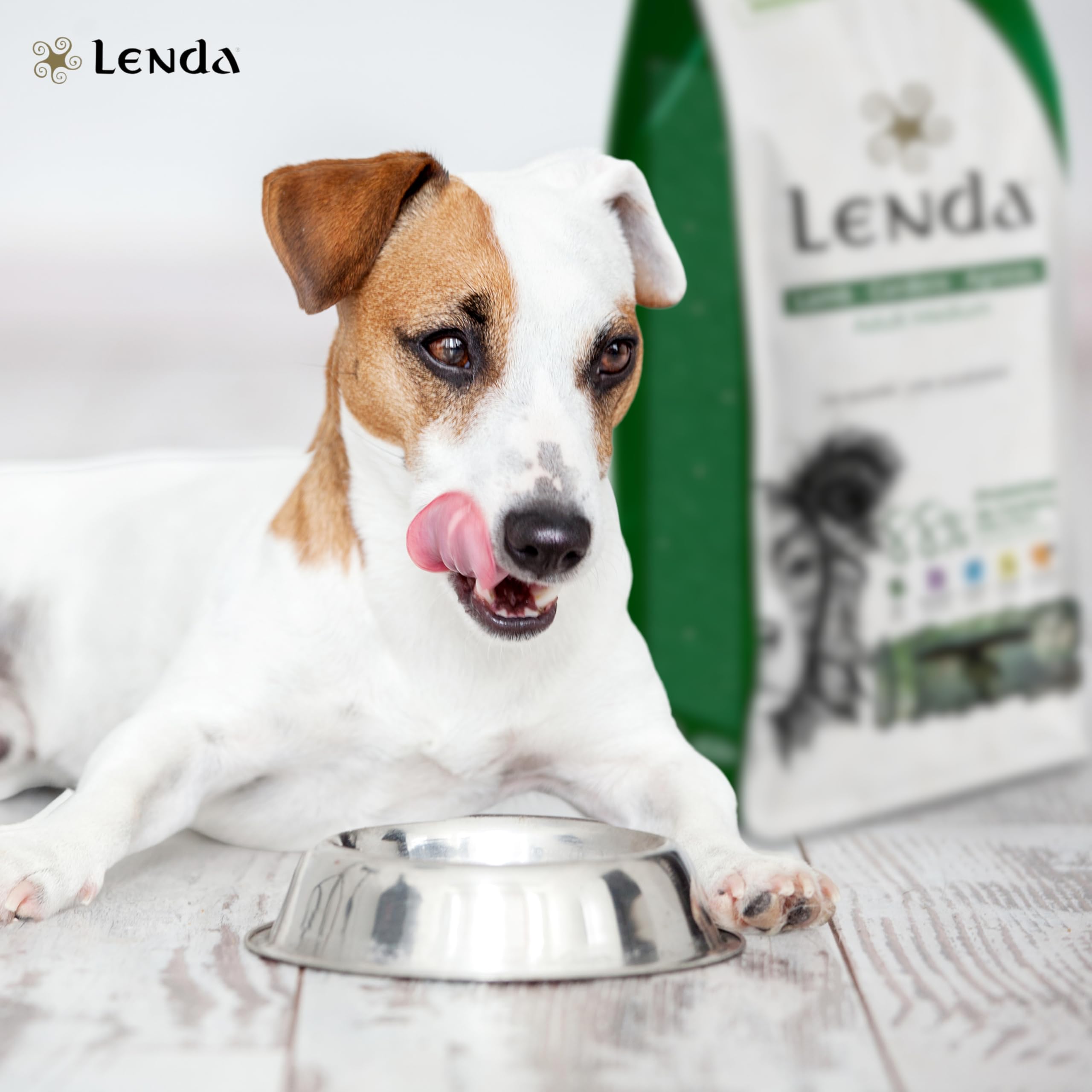 Lenda Lamm 6 kg – Trockenfutter Hund Adult reich an Lamm mit Lachsöl und Chondroprotektoren – Hundefutter Alle Rassen – Natürliches Trockenfutter