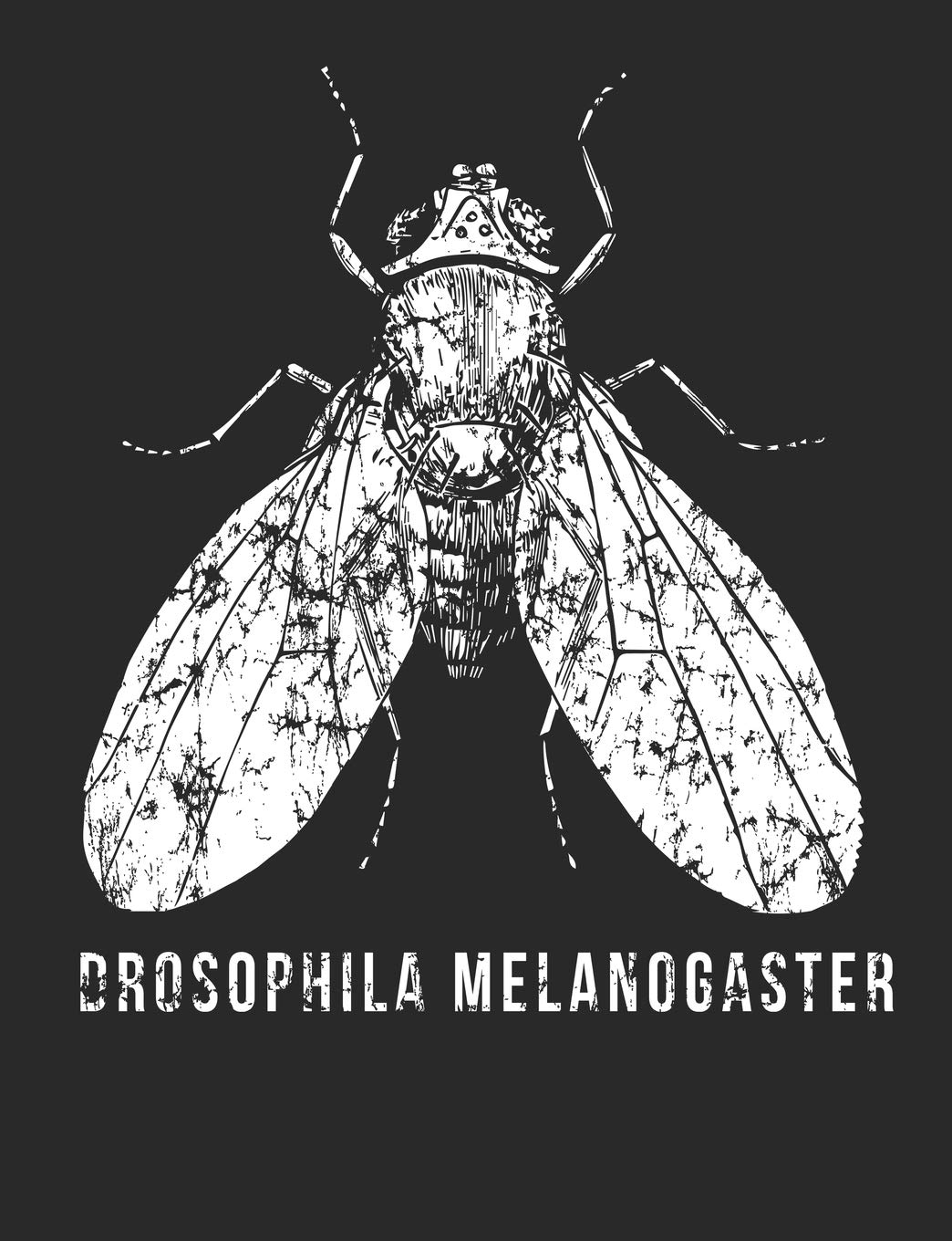 Drosophila Melanogaster: An elegant 110-page 7.44''x 9.69'' Wide Ruled Lined Composition Fruit Fly Notebook Drosophila Melanogaster for Scientists