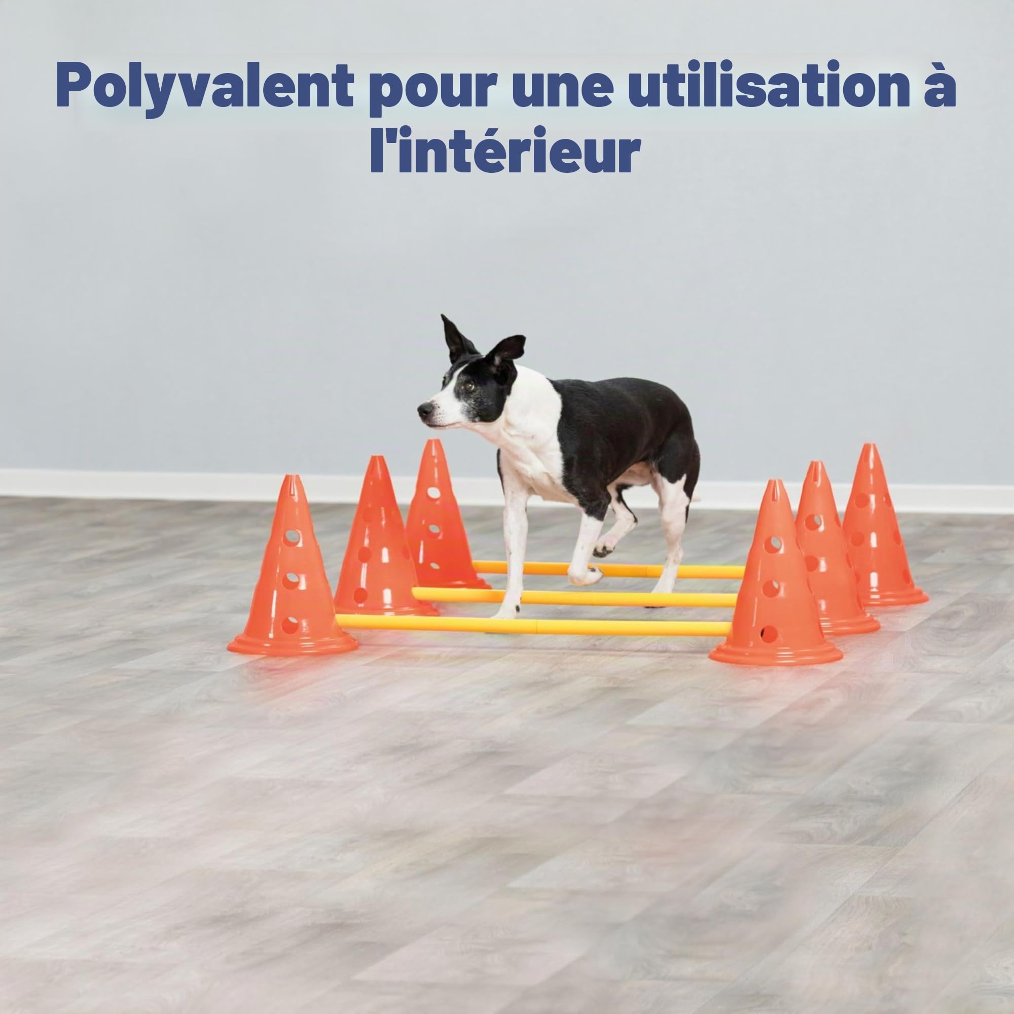 Trixie Set d’Obstacles à cônes - Accessoire d’entraînement résistant pour Agility Canine - ø 23 × 30 cm/78 cm Orange/Jaune, équipement de Sport canin pour la Maison