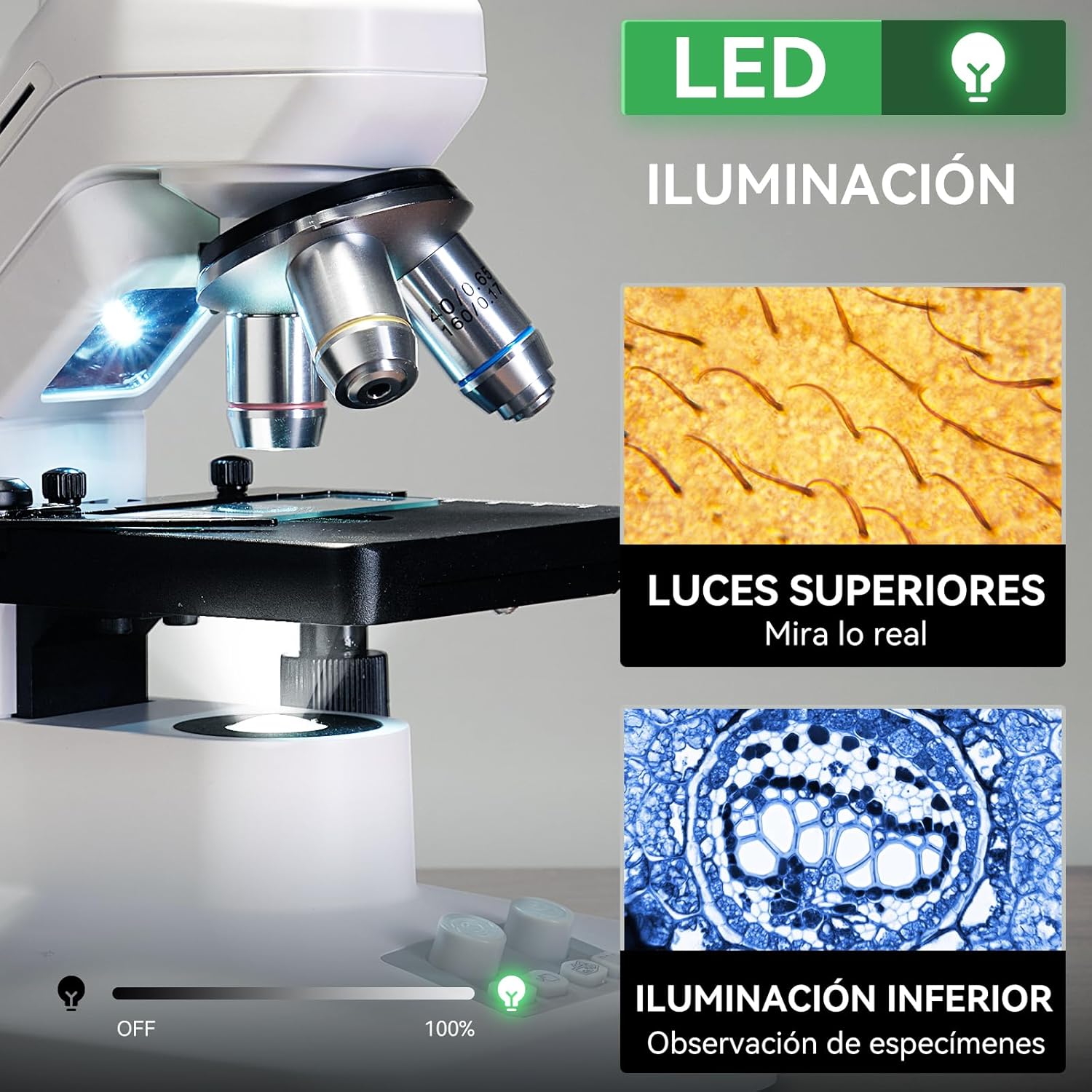 Microscope showing top and bottom LED illumination for different sample types