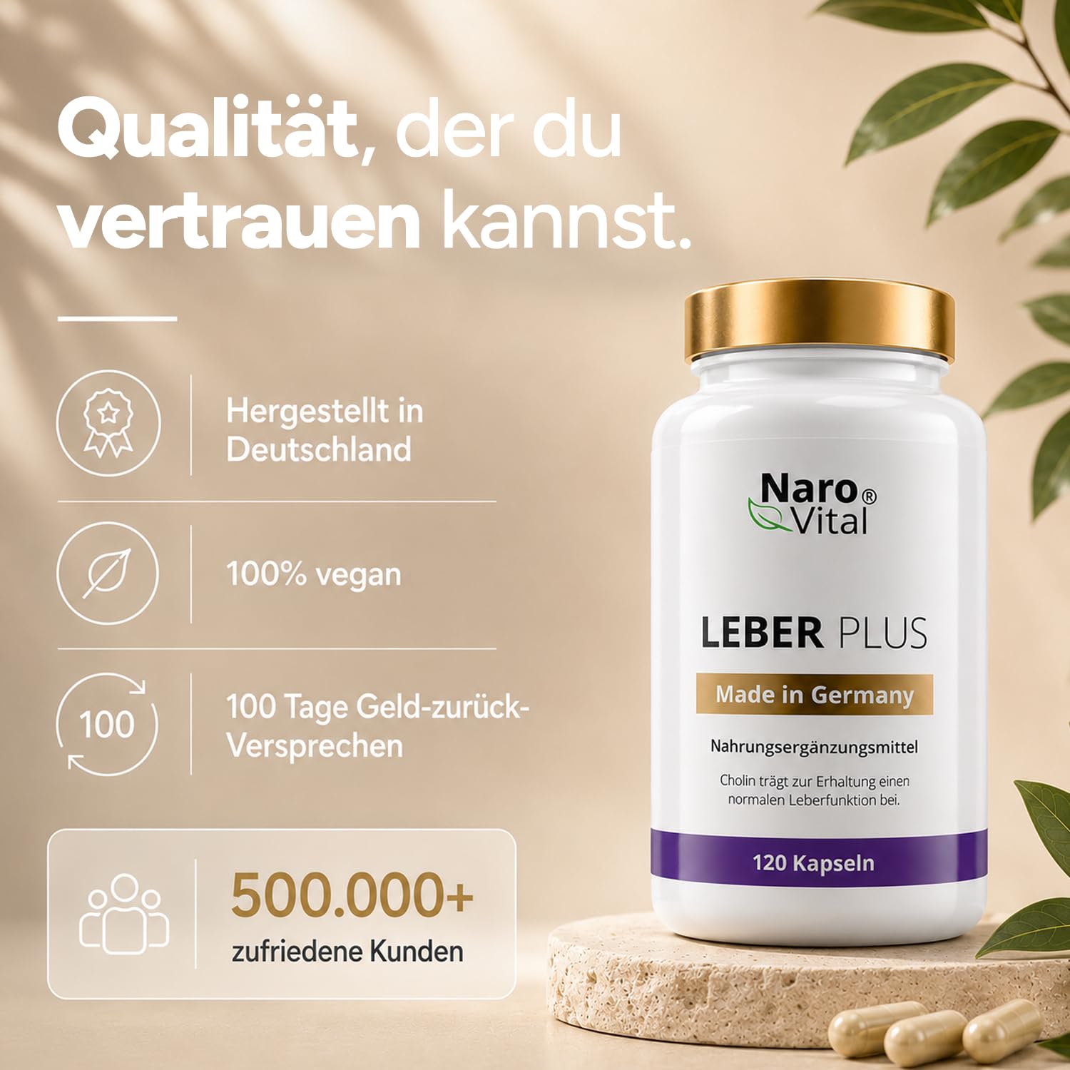 Leber Kur Mariendistel Kapseln hochdosiert - 80% Silymarin, Artischocke, Löwenzahn, Curcuma, Desmodium und Cholin für die Leber Testsieger - 8-Fach Komplex