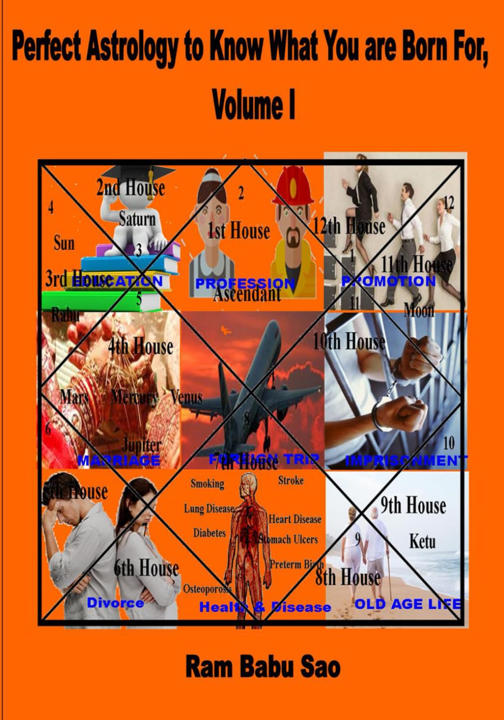 Perfect Astrology to Know What You are Born For, Volume I: "What You are Born For" Predictions in Vedic Astrology