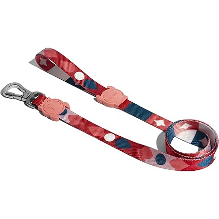 stylish dog leash
