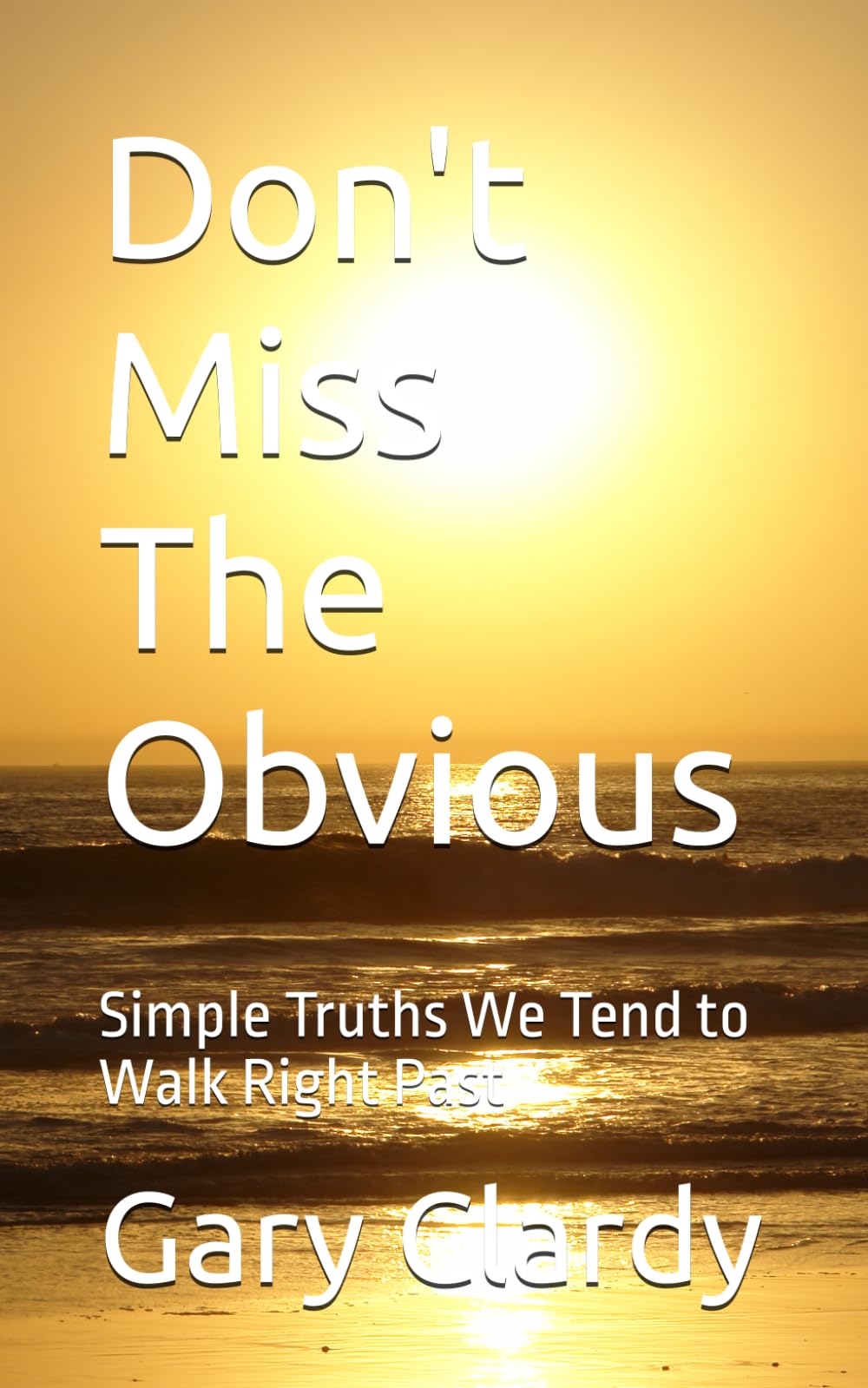 Don't Miss The Obvious: Simple Truths We Tend to Walk Right Past (Front Porch Wisdom Series)