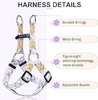 Vista 35 de BEAUTYZOO No Pull Dog Harness and Leash Set - Adjustable Step-in Puppy Harness for Small Medium Large Dogs, Escape Proof Soft Nylon Vest with Double