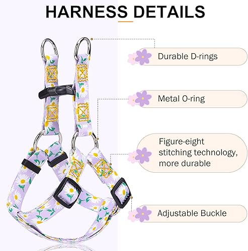 Miniatura 35 de BEAUTYZOO No Pull Dog Harness and Leash Set - Adjustable Step-in Puppy Harness for Small Medium Large Dogs, Escape Proof Soft Nylon Vest with Double