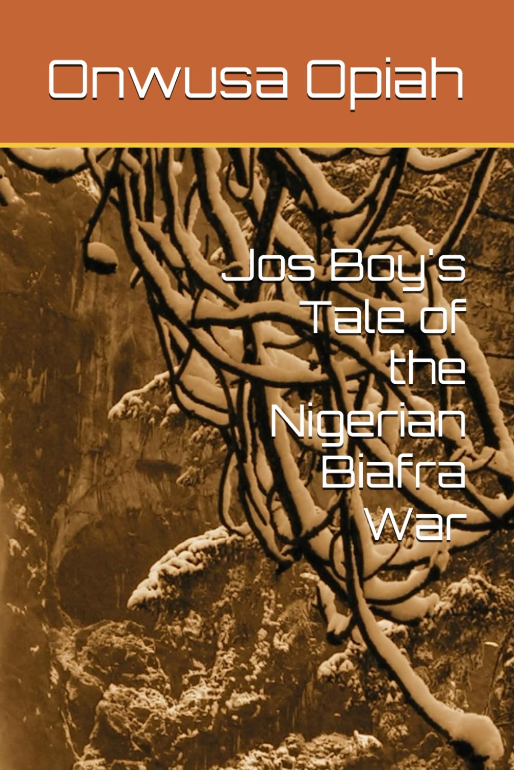 Jos Boy's Tale of the Nigerian Biafra War