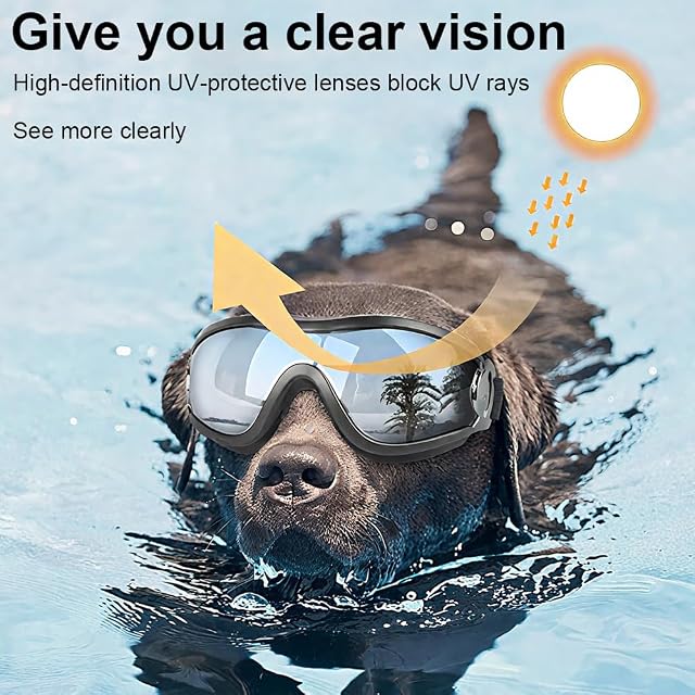 Foto 4 de 7 de XFSRG Gafas de Sol para Perros Tipo Envolvente Perro Gafas de Moto Protección Ocular Perros para Paseo Viaje…