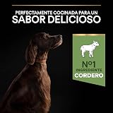 Ver la foto 7
