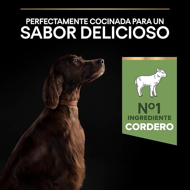 Foto 7 de 8 de Pro Plan Large Athletic Digestion pienso Adulto Digestion Sensible 14kg