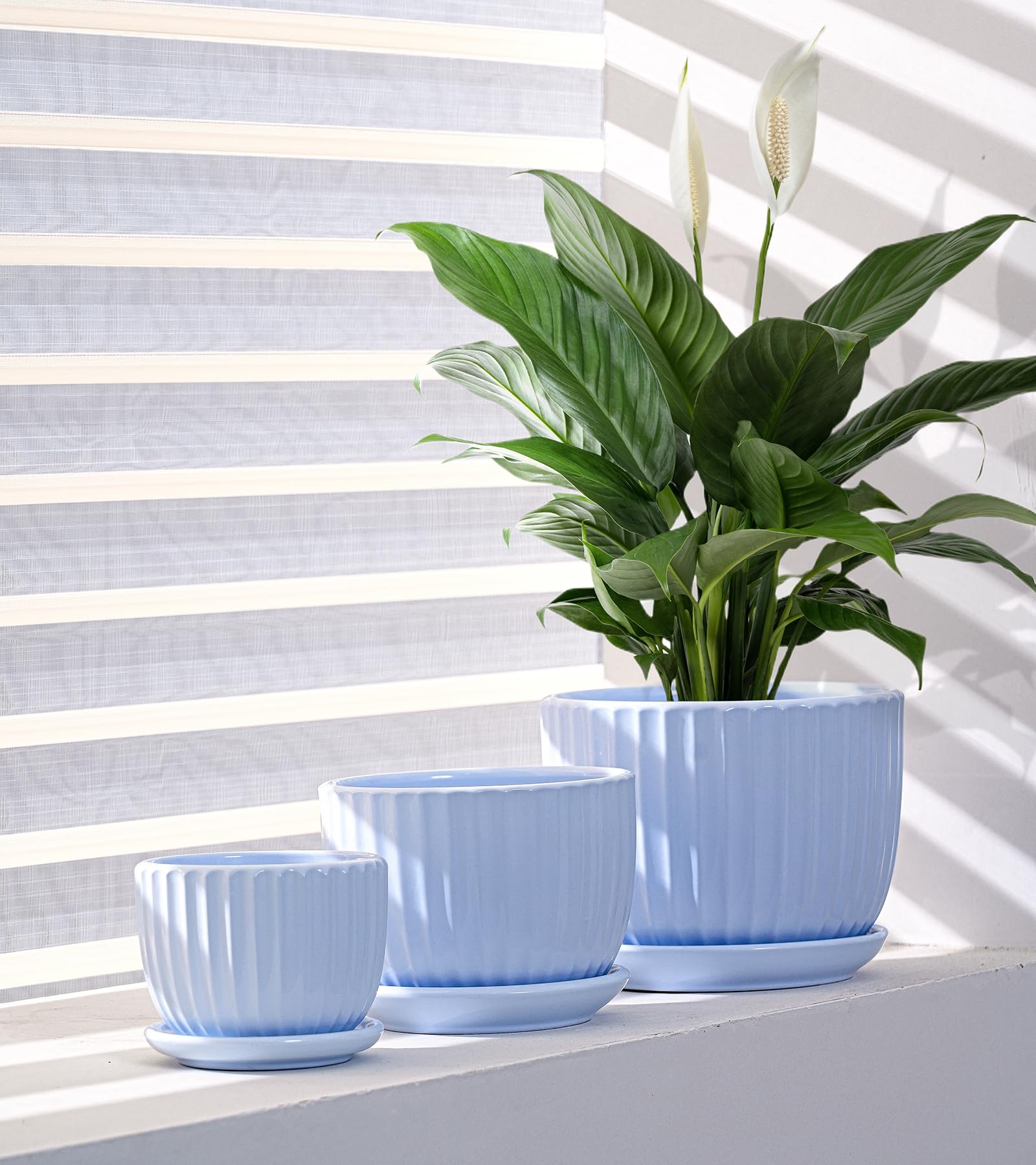 Amazon.co.jp: 植木鉢、水切り穴付きセラミックポット&ソーサー3個